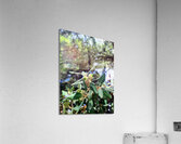 Nature’s Little Lanterns: A Hidden Symphony of Light and Green Impression acrylique