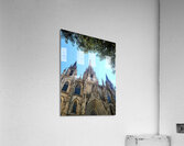 Gothic Roots Olive Crowns: The Cathedral at an Angle of Awe Impression acrylique