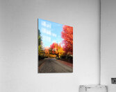 Fall Over the Fence Acrylic Print