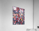 Grounded in Colors 1B Acrylic Print