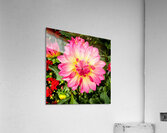 Petal Prism: Nature’s Geometry Impression acrylique