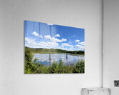 Into the Wild Blue Acrylic Print