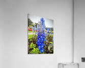 Larkspur: Midnight Choir of the Garden Realm Acrylic Print
