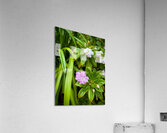 Green Rhythm Pink Pause Impression acrylique