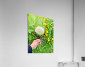 Cartography of a Wish Acrylic Print