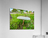 Capstone of the Lawn Acrylic Print