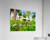 The Lone Umbrella of Morning Light Acrylic Print