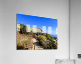 IMG 9695 Acrylic Print