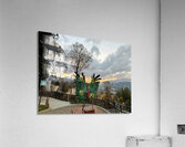 IMG 0467 Impression acrylique