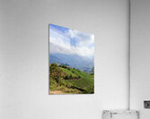 IMG 9267 Acrylic Print