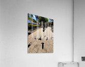 IMG 0279 Acrylic Print