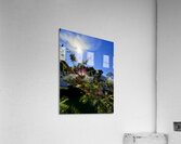 IMG 0024 Acrylic Print