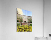 IMG 9960 Acrylic Print