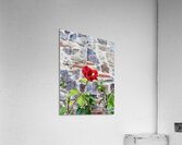 IMG 9956 Acrylic Print