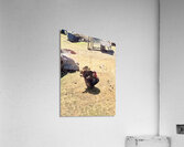 IMG 9621 Acrylic Print