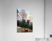 IMG 0496 Impression acrylique