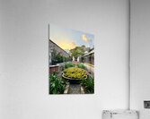 IMG 9950 Acrylic Print