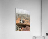 IMG 8818 Acrylic Print