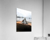 IMG 8812 Acrylic Print