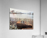 IMG 8815 Acrylic Print