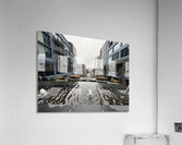 IMG 8438 Acrylic Print