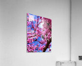 IMG 1577 Impression acrylique