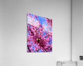 IMG 1620 Impression acrylique