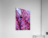 IMG 1659 Impression acrylique