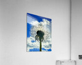 IMG 1740 Impression acrylique