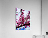 IMG 1528 Impression acrylique