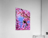 IMG 1648 Impression acrylique