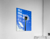 IMG 1764 Impression acrylique