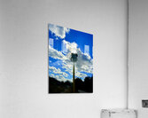 IMG 1755 Acrylic Print