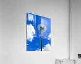 IMG 1759 Acrylic Print