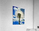 IMG 1743 Impression acrylique