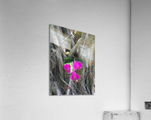 Natural Orchid 1 Acrylic Print