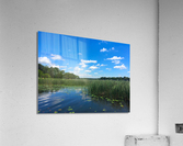 Blue By You Acrylic Print