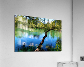 Pond Do  Acrylic Print