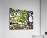 Rooted in Strength Impression acrylique