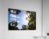 Seeing the Light Acrylic Print