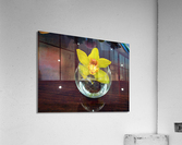 Glass Bloom 2B Acrylic Print