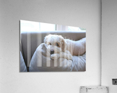 Patient Pooch Finn Acrylic Print