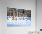 Hiding in Plain Sight Acrylic Print