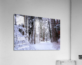 Winterscape Acrylic Print