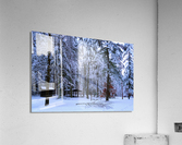 Winter Wonderland 2 Acrylic Print