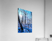 Frozen Limbs 3 Acrylic Print