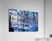 Frozen Limbs 2B Acrylic Print