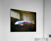An American Koi Story Impression acrylique