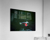 Playful Koi Impression acrylique