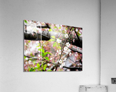 Cherry Blossom 2 Impression acrylique